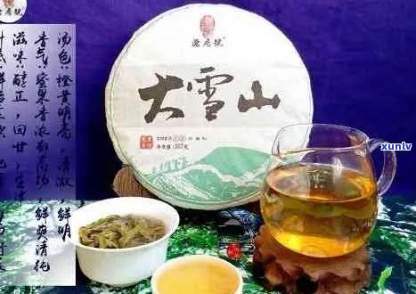 大雪山普洱茶：独特风味、显著功效与品饮技巧详解