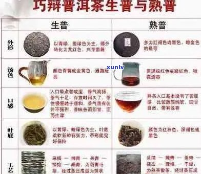 普洱茶品种选择：如何挑选最适合你的普洱茶？