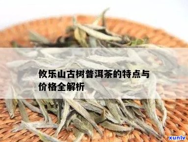 攸乐古茶山普洱茶：独特风味、丰富功效与历底蕴的完美结合