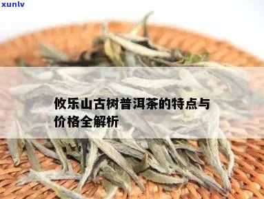 攸乐古树茶春茶价格查询表