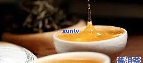 攸乐普洱茶：价格解析，品质与名声的完美结合