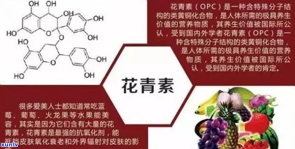 普洱茶中是否含有花青素？以及花青素在普洱茶中的含量和作用是什么？