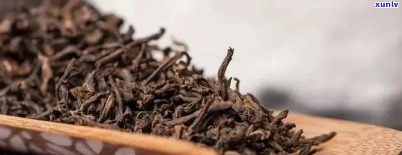 普洱茶芽孢的研究与应用：从生物学到健益处