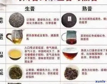 普洱茶泡法指南：每次冲泡应使用多少茶叶以达到口感？