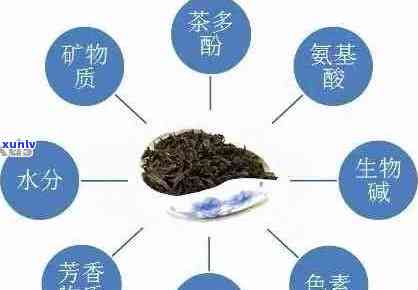 普洱茶中的儿茶素含量及其作用：为什么普洱茶对健有益？