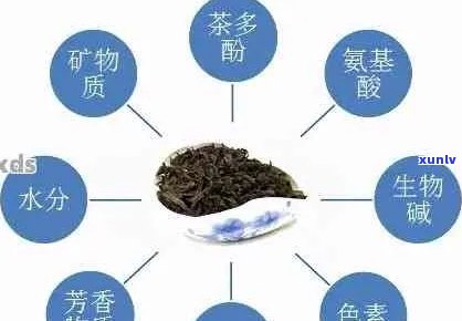 儿茶素在普洱茶中的含量及其对健的影响