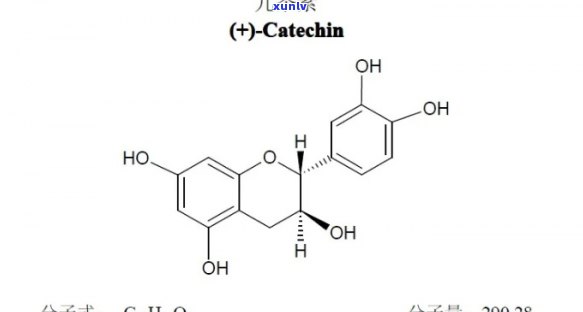 儿茶素在普洱茶中的含量及其对健的影响