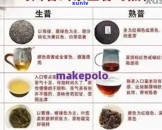 泰富来普洱茶品质、口感、价格及泡法全面解析，助您轻松选购和品鉴