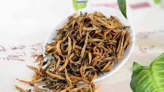 云南原生态金骏眉普洱茶：古树茶魅力与醇厚口感的完美结合