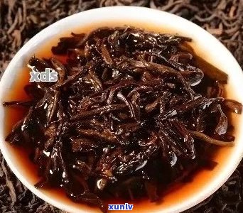 云南原生态金骏眉普洱茶：古树茶魅力与醇厚口感的完美结合