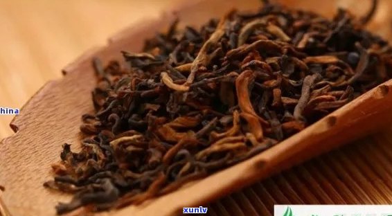 金骏眉与普洱茶：它们属于哪种茶？详细介绍两者的区别与特点