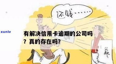 有解决信用卡逾期的公司吗？帮银行信用卡逾期的公司是真的吗？