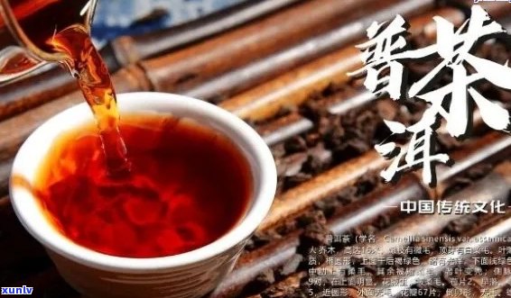 中国普洱茶文化详解及指南