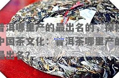 中国普洱茶文化详解及指南