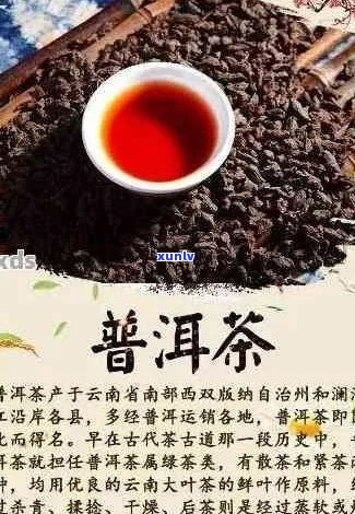 中国普洱茶文化详解及指南