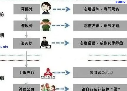 信用卡逾期报备： *** 处理指南与策略