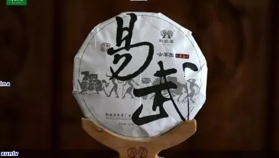 易武普洱茶品鉴指南：口感、品质、功效全方位解析，让你一试倾心！