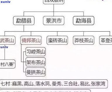 易武普洱茶品种全解：从古至今各类茶叶一网打尽，助你挑选最适合的茶品