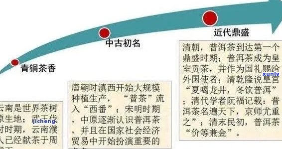 普洱茶：品味历、文化与科学的完美结合