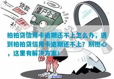 用户信用卡逾期问题分析与解决策略