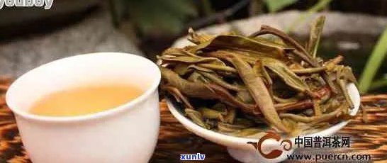 普洱茶的种类、口感和风味：一个全面的介绍