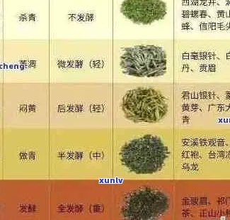 普洱茶的种类、口感和风味：一个全面的介绍