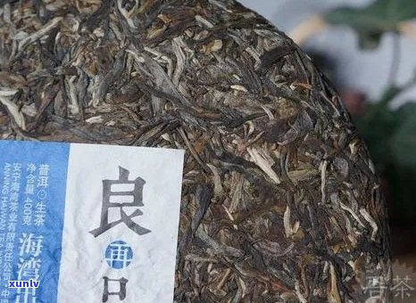 云南千叶号茶业与千叶茶叶共同打造优质茶叶