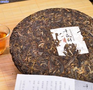 云南千叶号普洱茶饼：古树韵味，醇厚口感，珍藏佳品