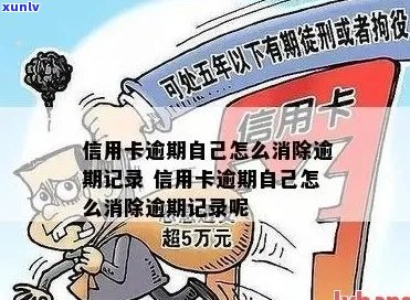 信用卡逾期多久更新记录：解决 *** 与时间节点