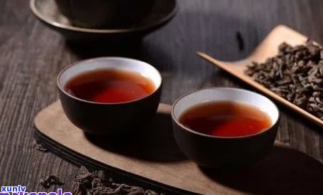 品味云南普洱茶的魅力：一款好喝的八马普洱茶体验