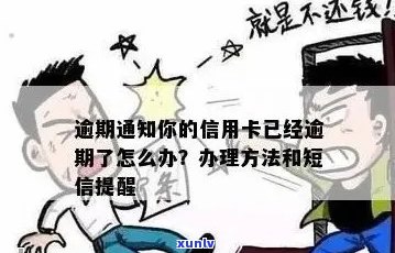 信用卡分期付款逾期短信的解析与处理