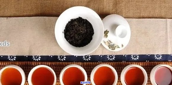 普洱茶搭配推荐：什么可以与普洱茶一起喝？