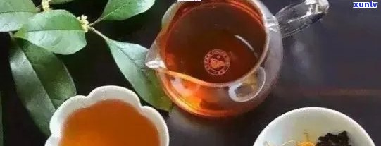 普洱茶搭配推荐：什么可以与普洱茶一起喝？