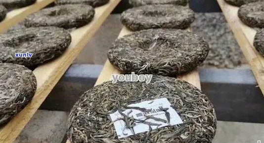 寻找二饼普洱茶的原产地及其生产厂家？你不可错过的权威指南！