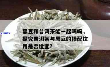 普洱茶与黑豆搭配煮饮的可行性及相关注意事项