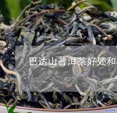 巴达山普洱茶口感特点及好不好喝评价