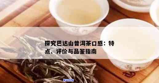 巴达山普洱茶品质、口感、功效与选购指南：一篇全面的分析