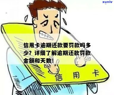 信用卡逾期罚款详细解析：逾期几天会面临多少罚款？