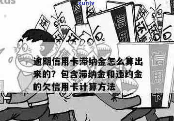 30000元信用卡逾期滞纳金计算方式：一天的利息如何得出？