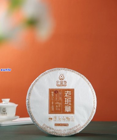 容茗普洱茶怎么样