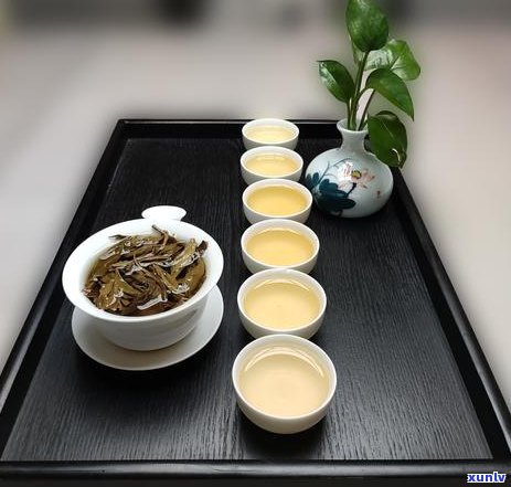 普洱茶大师周：探寻普洱茶的魅力、 *** 工艺与品鉴技巧，助您成为普洱茶专家