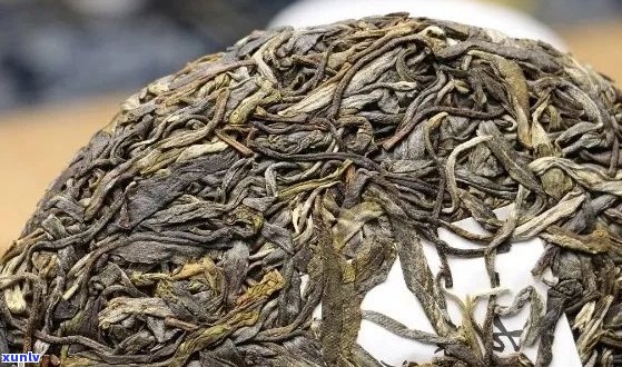 普洱茶中微生物的研究方案：探讨其在普洱茶加工中的作用及研究 *** 。