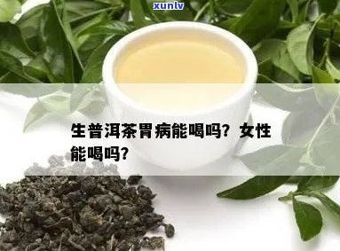 胃疼能喝生普洱茶吗女性：喝普洱茶是否有益于胃疼的女性患者？