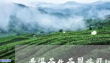 胃痛时喝生普洱茶：适宜吗？可能的风险和替代品推荐