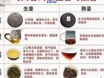 裕鑫号普洱茶专营店：优质普洱茶叶品种、购买指南和泡茶技巧一应俱全