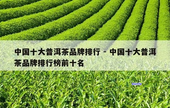 普洱茶十大名牌介绍