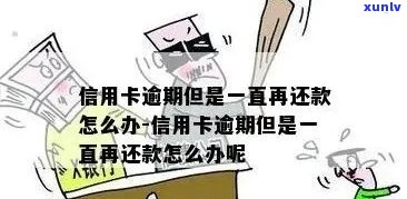 信用卡逾期只要经常还款