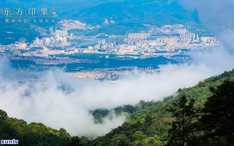 南糯山和布朗山普洱茶特点对比，哪款更值得入手？