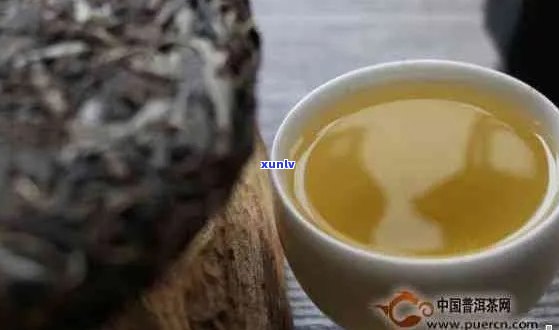 南糯山和布朗山普洱茶特点对比，哪款更值得入手？