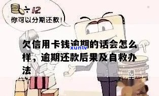 逾期还款困扰？这里为你提供信用卡逾期自救全攻略！